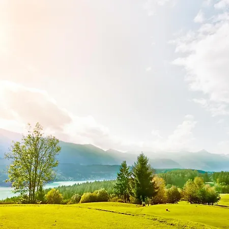 2ferienhaus, Ideal Fuer 2 Paare Und , Terrasse, 85m2, 2 Baeder, Aktivurlaub Am Und In Den Bergen 度假居 多布里亚赫