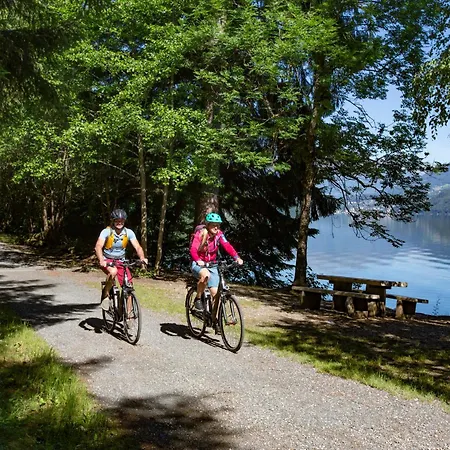 Ferienhaus2, Ideal Fuer 2 Paare Und , Terrasse, 85m2, 2 Baeder, Aktivurlaub Am Und In Den Bergen * Döbriach