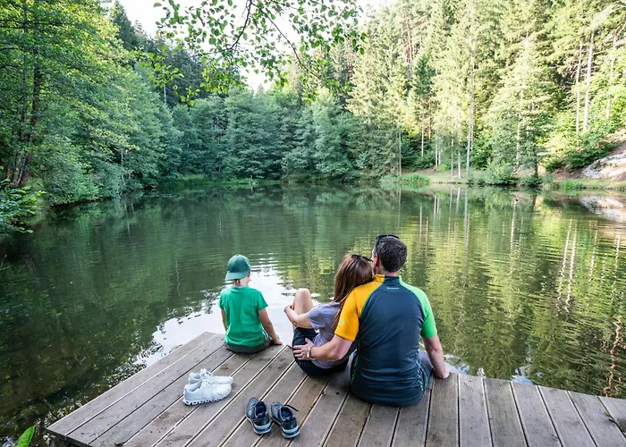 Ferienhaus2, Ideal Fuer 2 Paare Und , Terrasse, 85m2, 2 Baeder, Aktivurlaub Am Und In Den Bergen * Döbriach