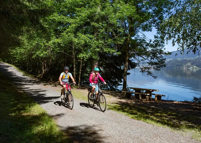 Ferienhaus2, Ideal Fuer 2 Paare Und , Terrasse, 85m2, 2 Baeder, Aktivurlaub Am Und In Den Bergen * Döbriach